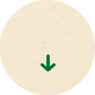 fleche section