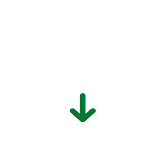 fleche section