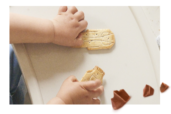 Biscuit et chocolat
