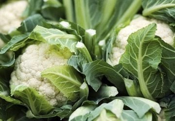 Le chou-fleur pour bébé ? Que du bonheur !