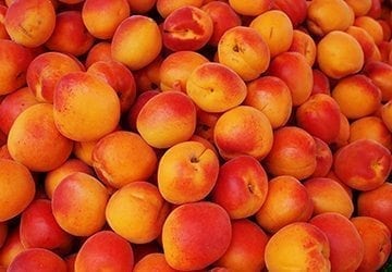 Pêches et abricots, l’énergie gourmande !