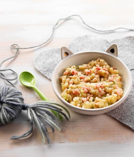 Recette Bebe 12 Mois Puree De Patisson Bledina Recette Bebe 12 Mois Puree De Patisson Bledina