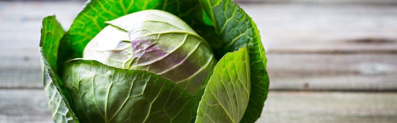 Chou Pour Bebe Recettes A Base De Chou Bledina