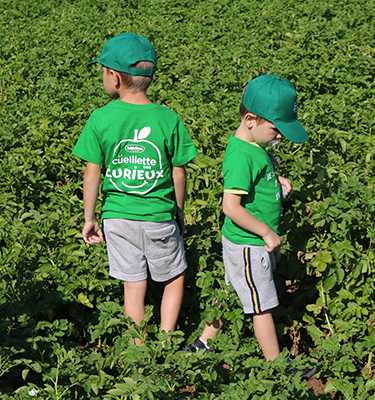 La Cueillette des pommes de terre chez Pierre Coisnon en 2022                    