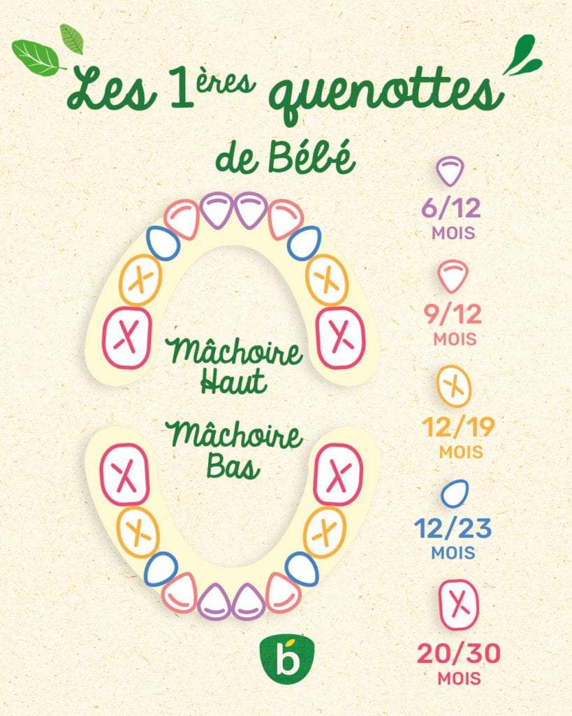 Premières dents de bébé la poussée dentaire