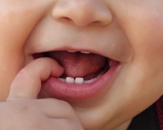 Bébé doit-il avoir des dents pour manger des morceaux ?