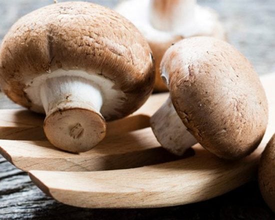 Les champignons