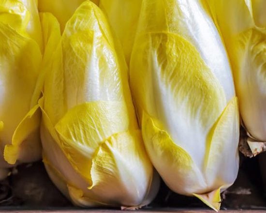 L'endive
