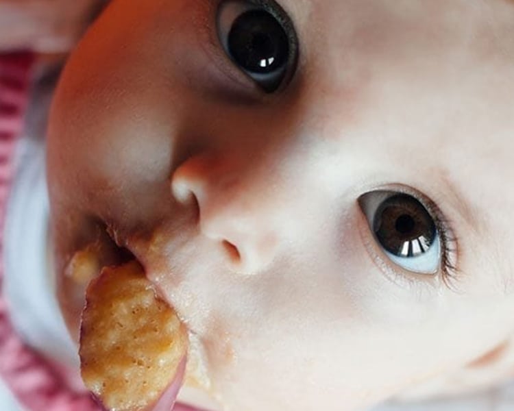 Purée Pour Aliments Pour Bébés Avec Légumes Et Fruits Alimentation  Sélective La Première Alimentation Complémentaire De L'enfant