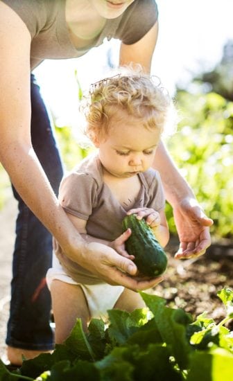 Diversification alimentaire - Calendrier d'introduction des aliments solides