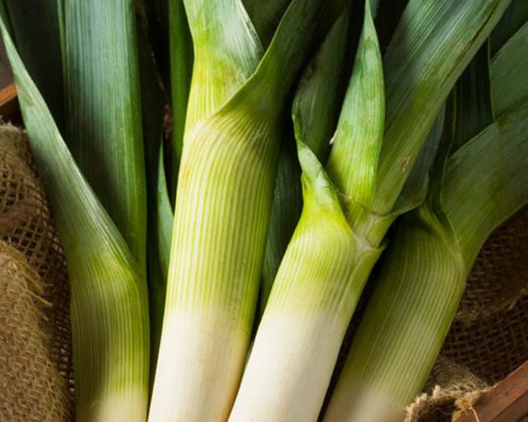 Poireau Pour Bebe Recettes A Base De Poireau Bledina