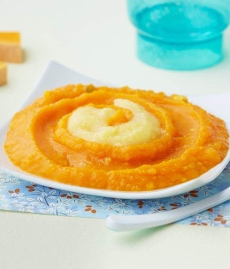 Recette Bebe 6 Mois Puree Compote Pomme Ananas Banane Bledina