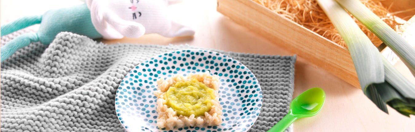 Recette Bebe 12 Mois Riz Au Fromage Et Blanc De Poireaux Bledina