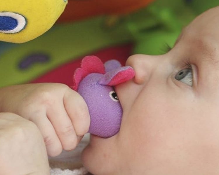 Bebe Developpe Ses Sens Et Sa Motricite Bebe Developpe Ses Sens Et Sa Motricite