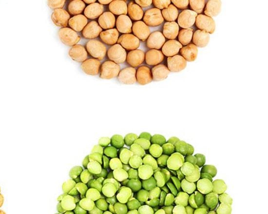 Le zinc pour un bon système immunitaire