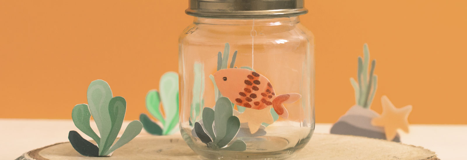 Diy Decoration Chambre Bebe Petit Pot Aquarium Bledina