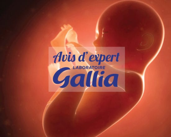 Le développement du fœtus pendant la grossesse