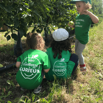 Très vite, les enfants prennent leurs aises au milieu de pommes.