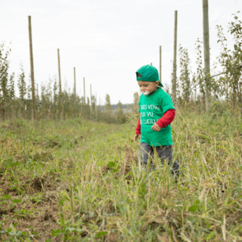 En se rendant directement au coeur des champs de nos agriculteurs partenaires.