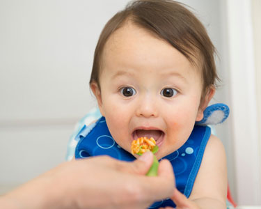 Textures : comment adapter la texture des différents types d'aliments selon l'âge d'un bébé ? (viande, légumes, riz…)