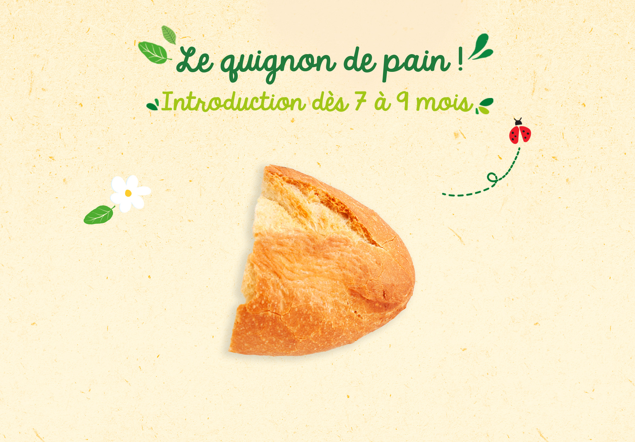 texture Quignon Pain