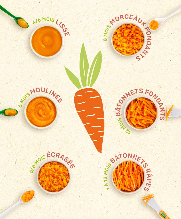 texture carottes