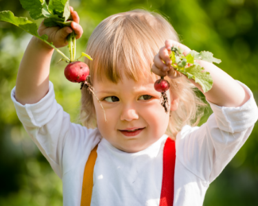 Diversification alimentaire - besoins nutritionnels à chaque repas