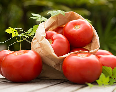 La tomate dans l'alimentation de bébé
