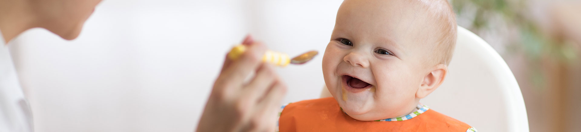 légumes pour bébé de 7 mois