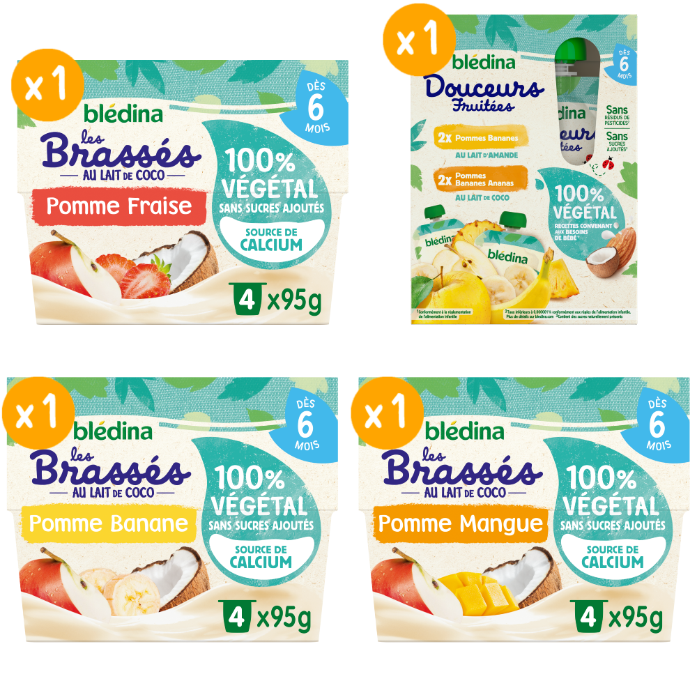 Gourdes Douceurs fruitées et Brassés 100% Végétal - Lot x4