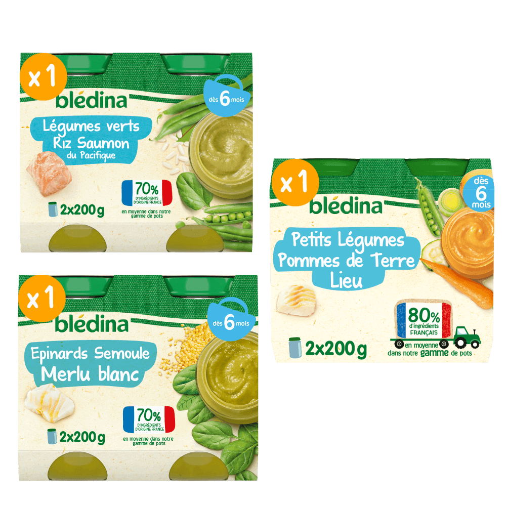 Petits pots Blédina - Lot Multi-variétés Légumes Poissons dès 6 mois x 3